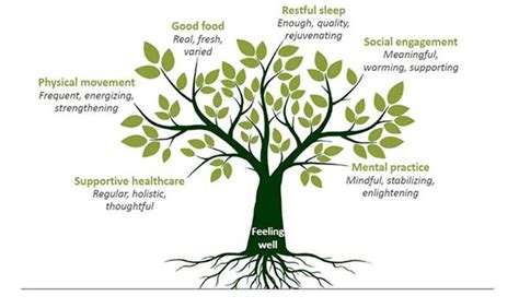 Exploring Emotional Intelligence 2.0: Strategies for Enhancing Personal Growth and Development