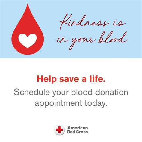 Find Kedplasma Donation Centers Near You: How to Locate and Support Local Blood Plasma Drives